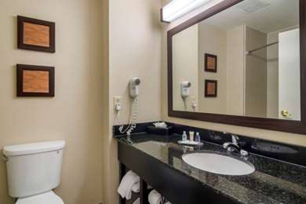 Comfort Inn And Suites Galleria 10