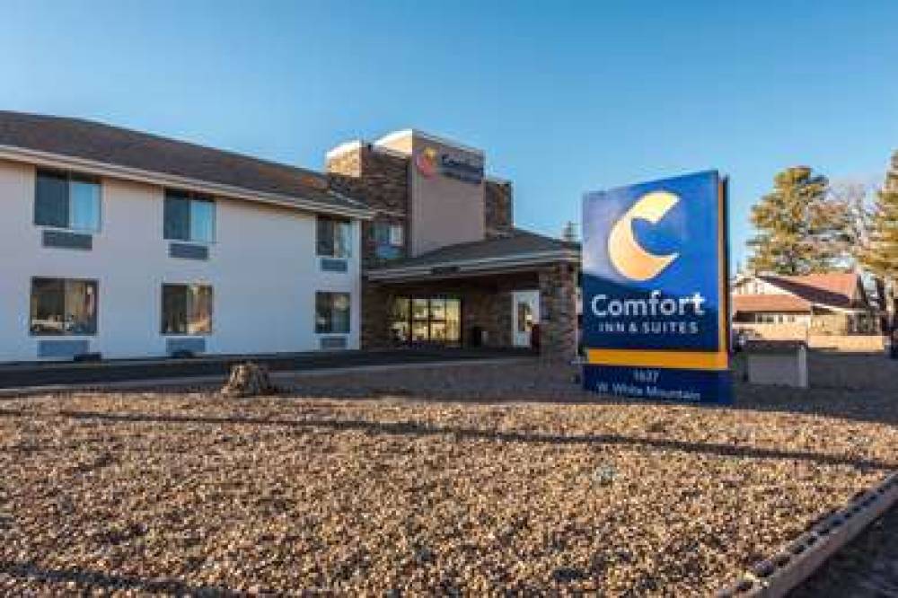 COMFORT INN AND SUITES LAKESIDE 1