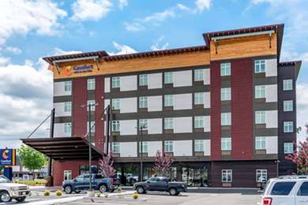 Comfort Inn And Suites Lakewood