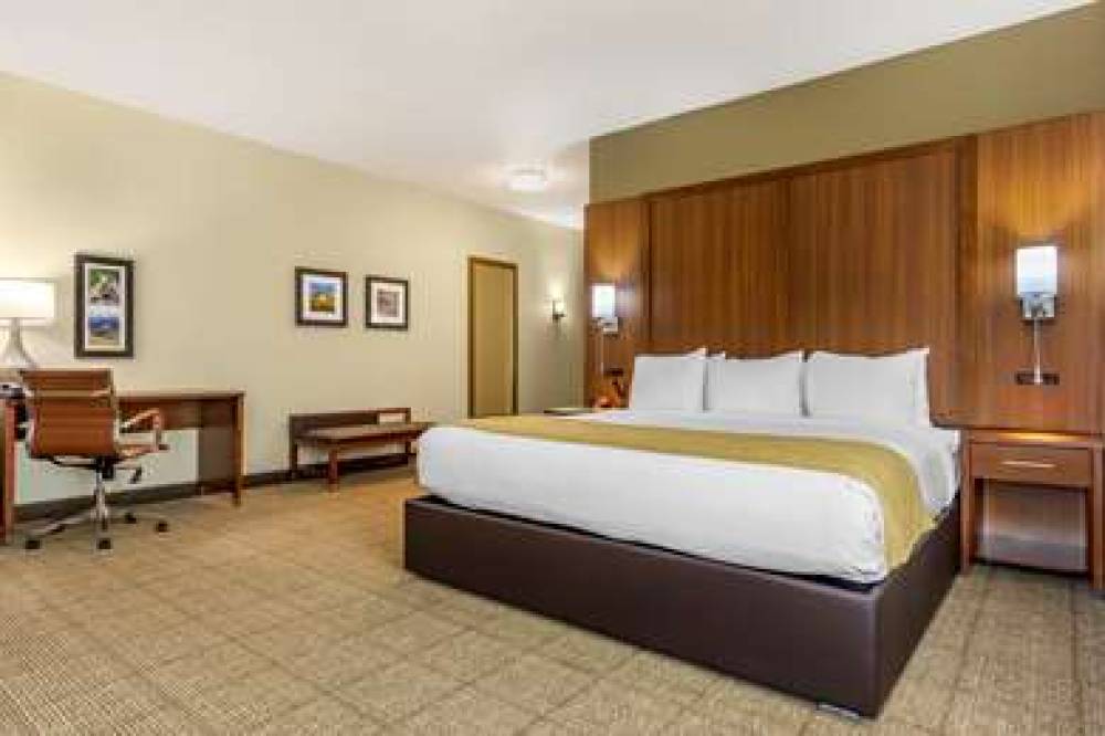 COMFORT INN AND SUITES LAKEWOOD 5