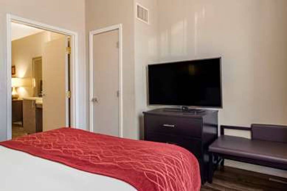 COMFORT INN AND SUITES LITHIA SPRIN 7