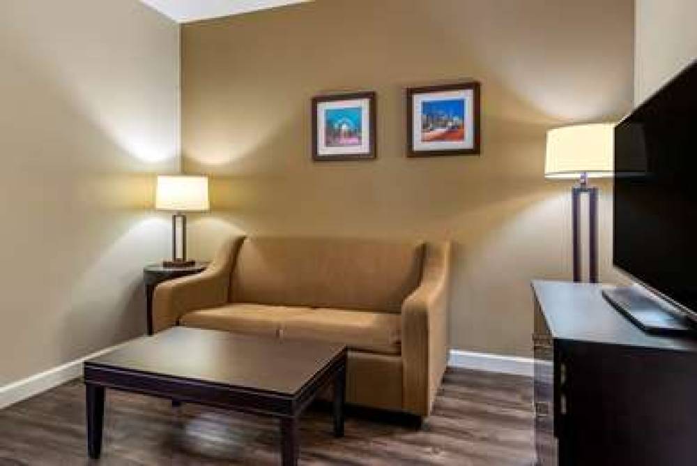 COMFORT INN AND SUITES LITHIA SPRIN 6