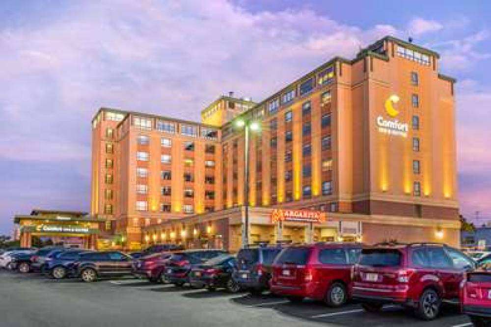 Comfort Inn And Suites Logan International Airport 4