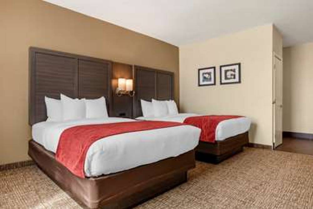 COMFORT INN AND SUITES MILLBROOK-PR 7