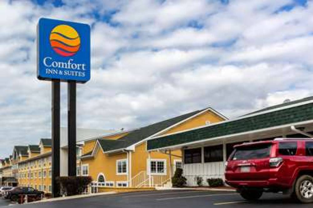 COMFORT INN AND SUITES NASHVILLE NE 1