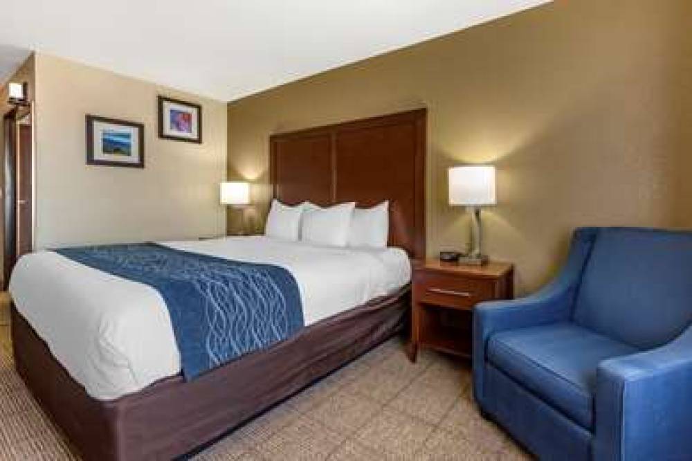 Comfort Inn And Suites North 8