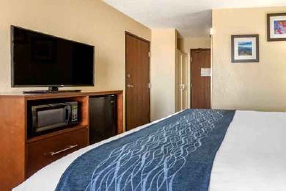 Comfort Inn And Suites North 7