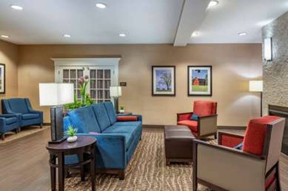 COMFORT INN AND SUITES NORTHERN KEN 4