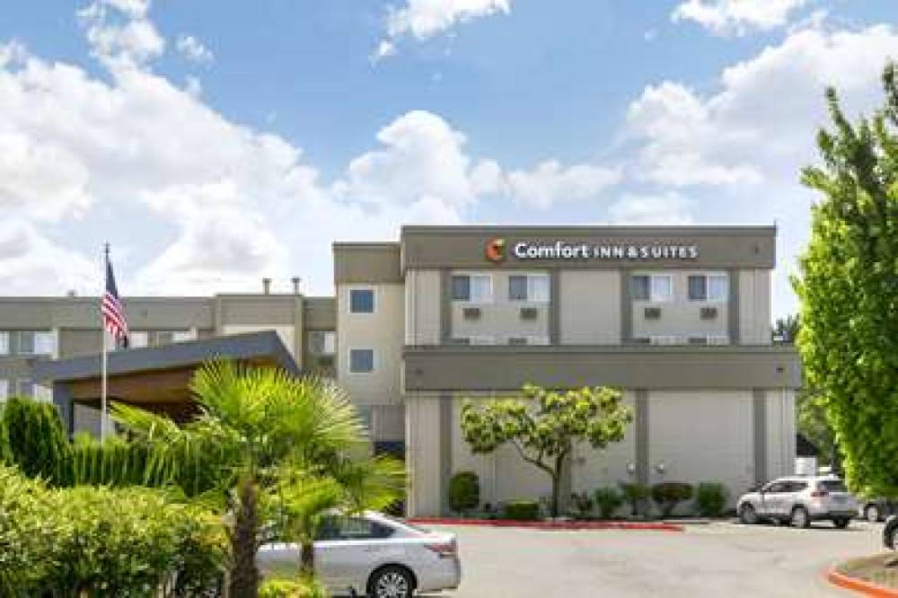 COMFORT INN AND SUITES PACIFIC - AU 3