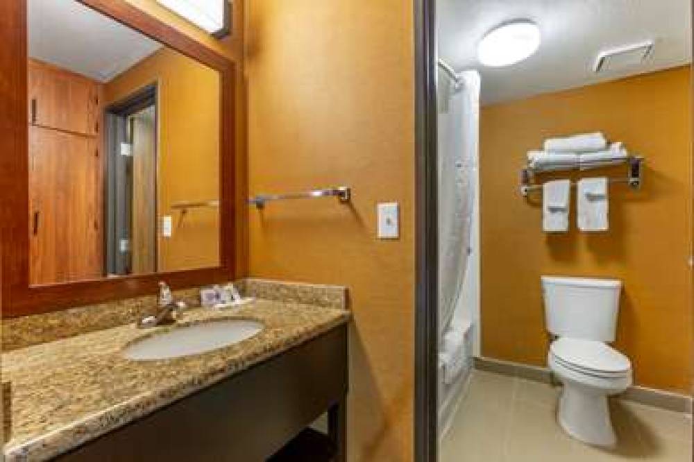 COMFORT INN AND SUITES PHOENIX NORT 9