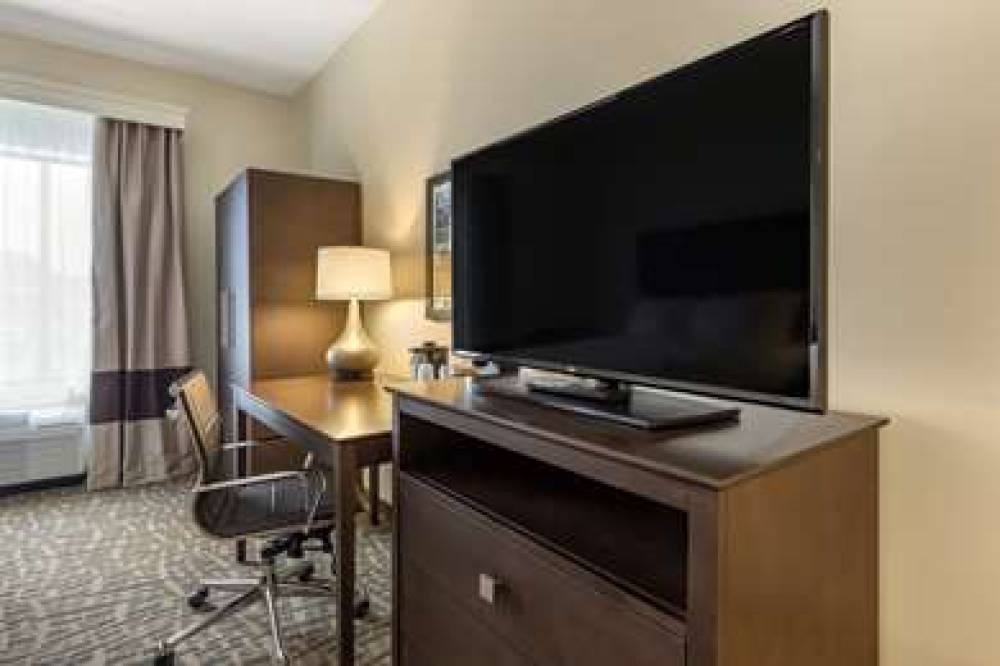 COMFORT INN AND SUITES PITTSBURGH-N 8