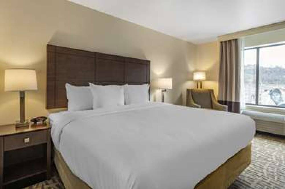 COMFORT INN AND SUITES PITTSBURGH-N 10