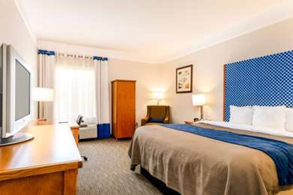 Comfort Inn And Suites Savannah Airport 8