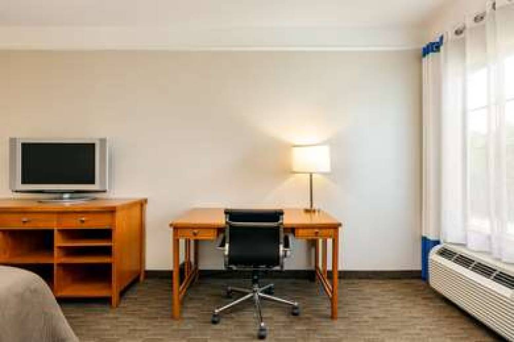 Comfort Inn And Suites Savannah Airport 10