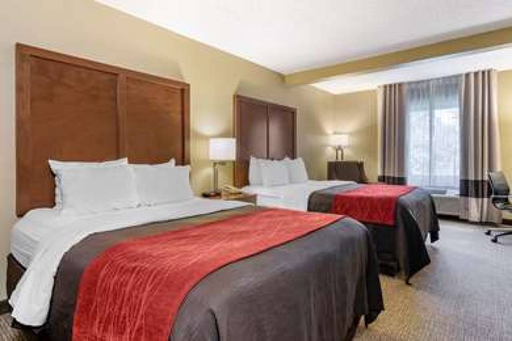 Comfort Inn And Suites Suwanee - Sugarloaf 9