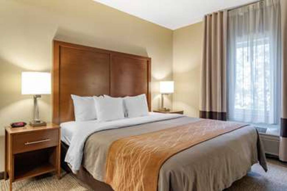 Comfort Inn And Suites Suwanee - Sugarloaf 5