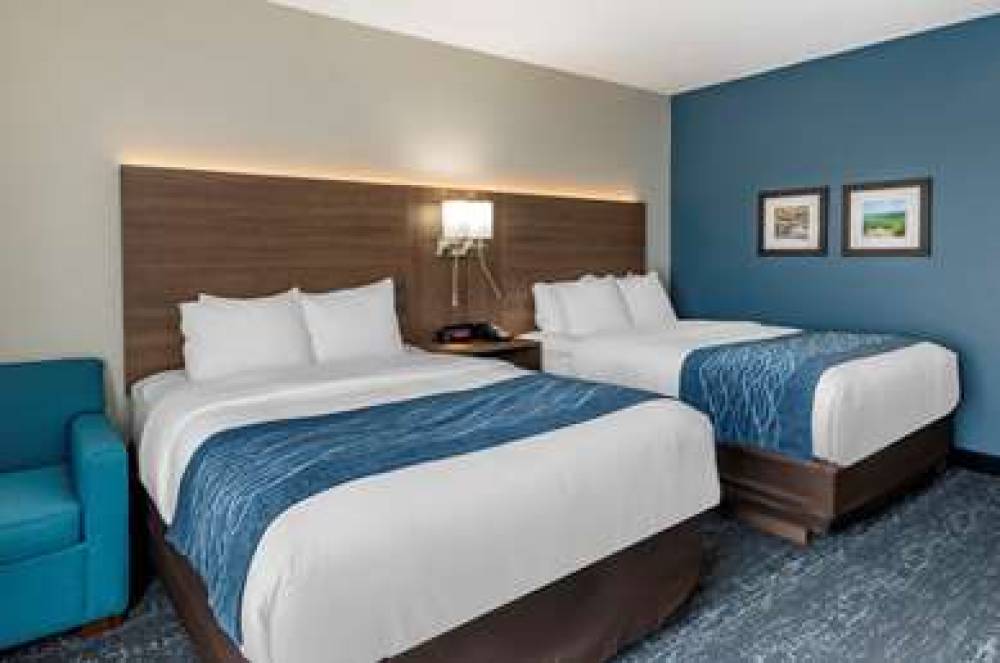 COMFORT INN AND SUITES TROUTVILLE - 10