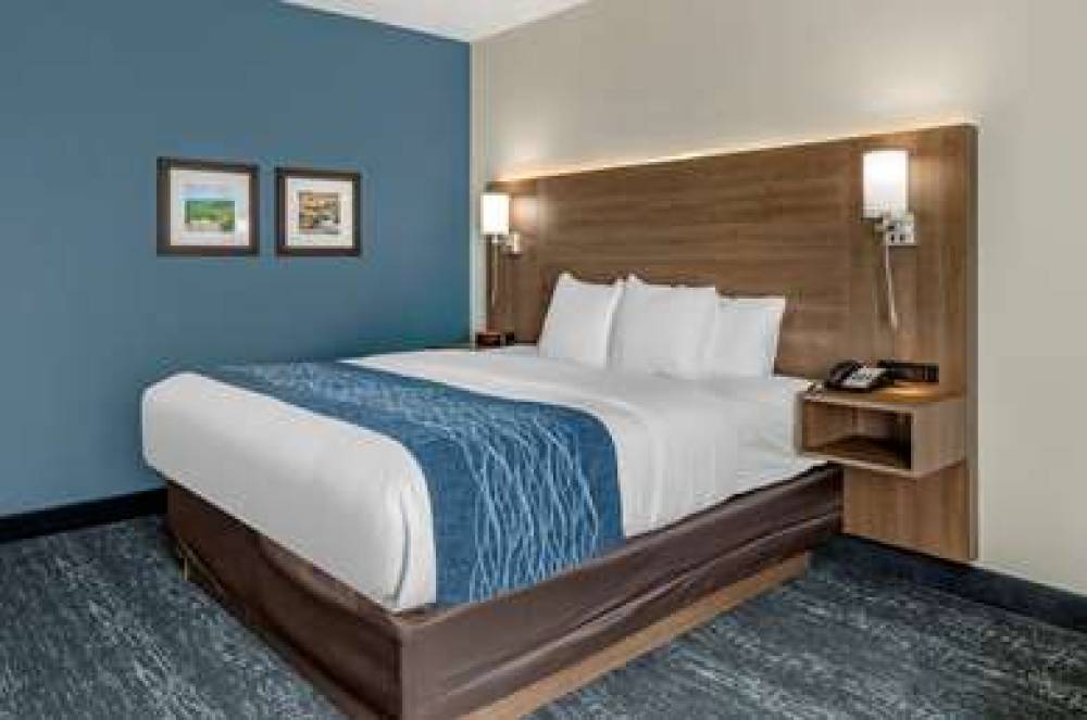 COMFORT INN AND SUITES TROUTVILLE - 7