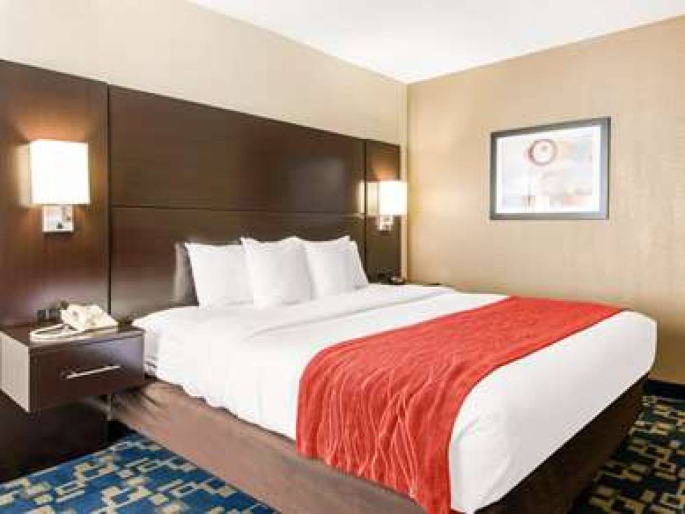 Comfort Inn And Suites Universal - Convention Cent 5