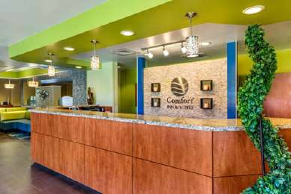 Comfort Inn And Suites Universal - Convention Cent 3