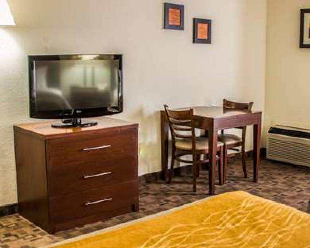 Comfort Inn Birch Run 8