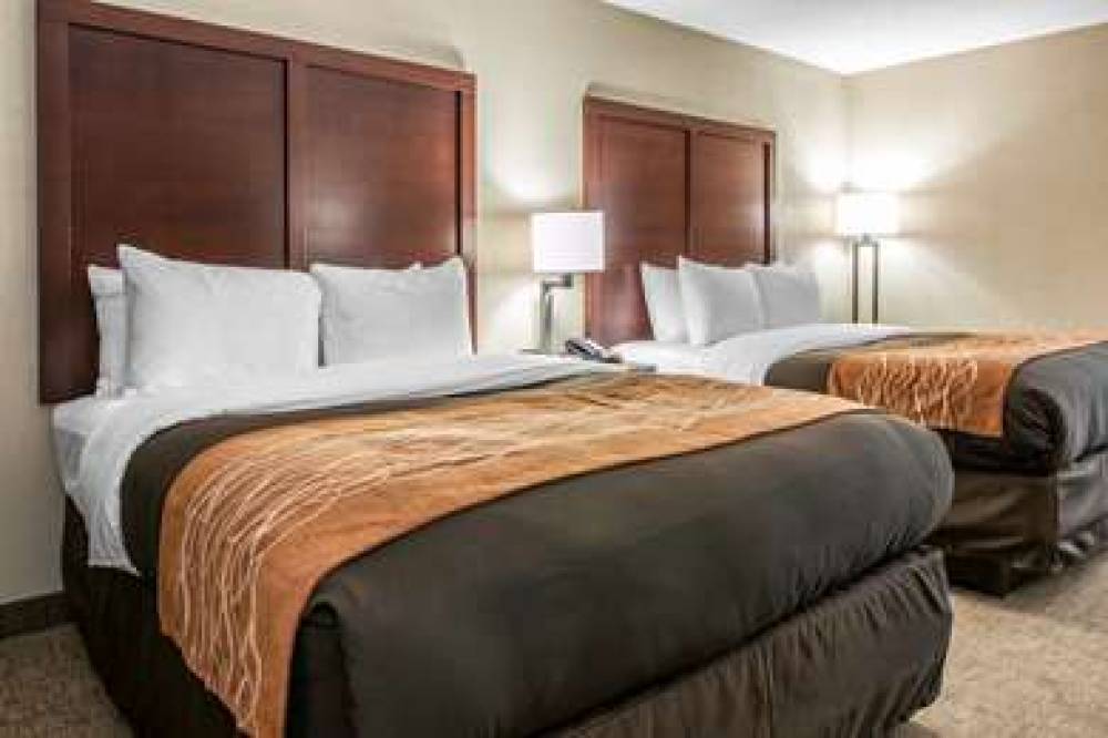 COMFORT INN BLUE ASH NORTH 7