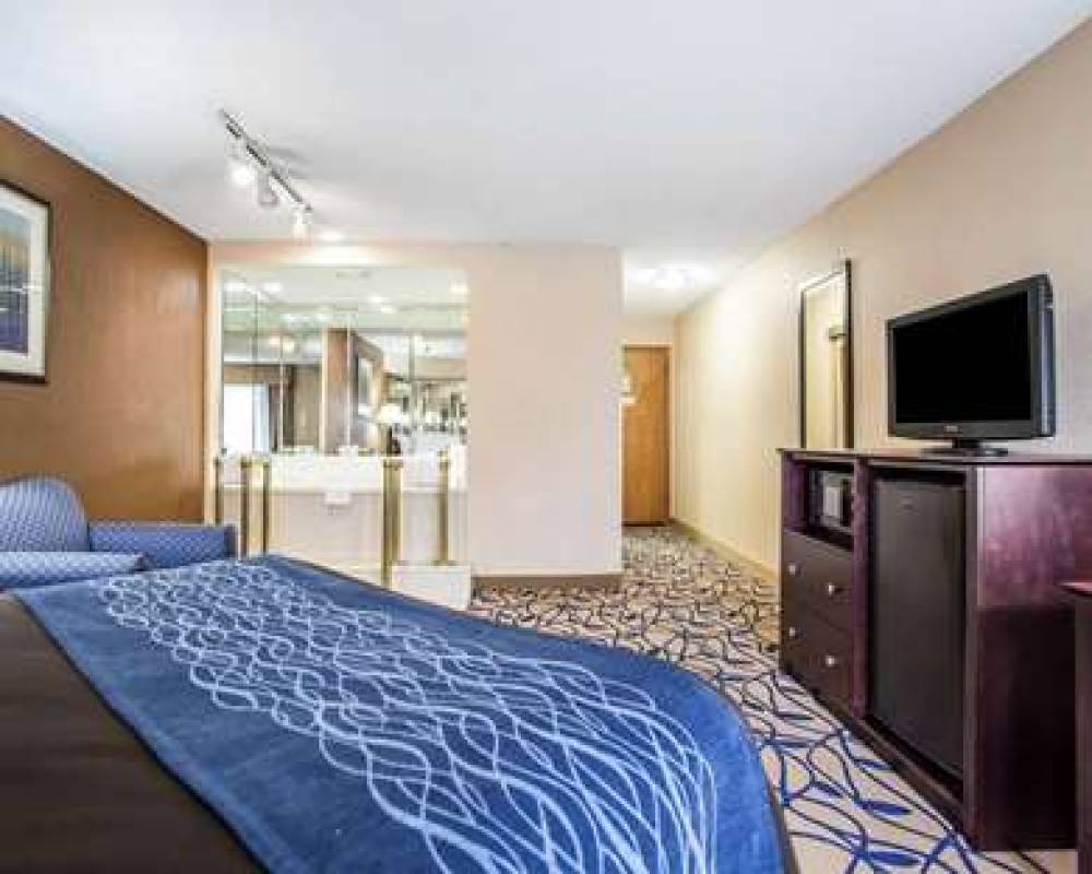 Comfort Inn Bourbonnais 10