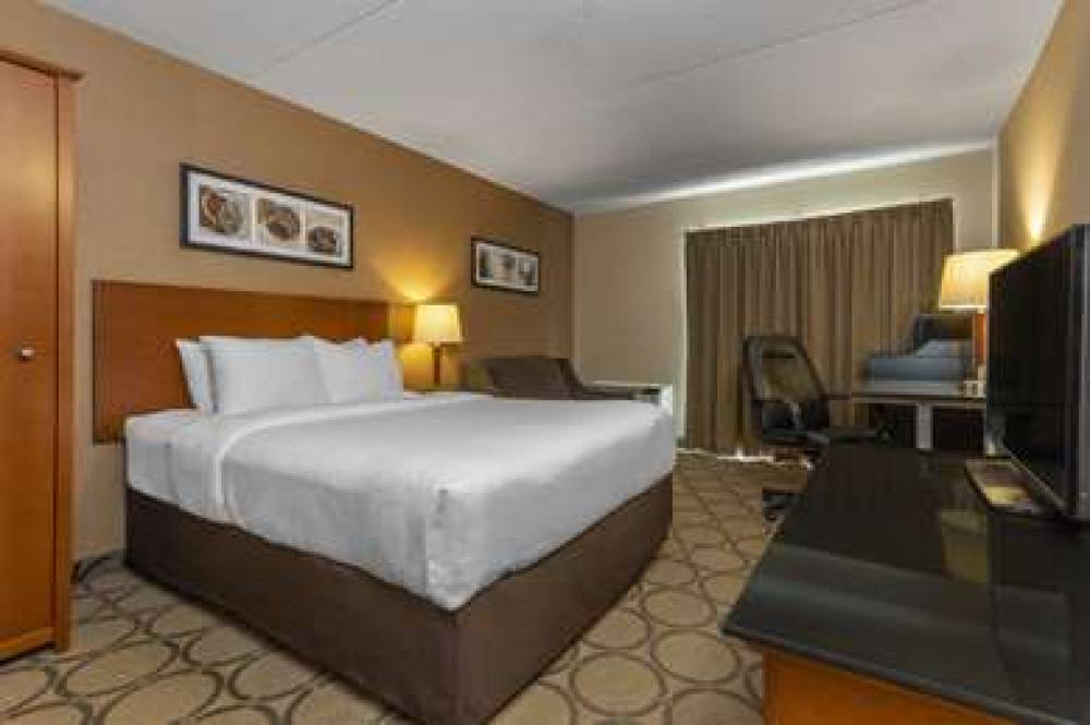 Comfort Inn Brandon 5