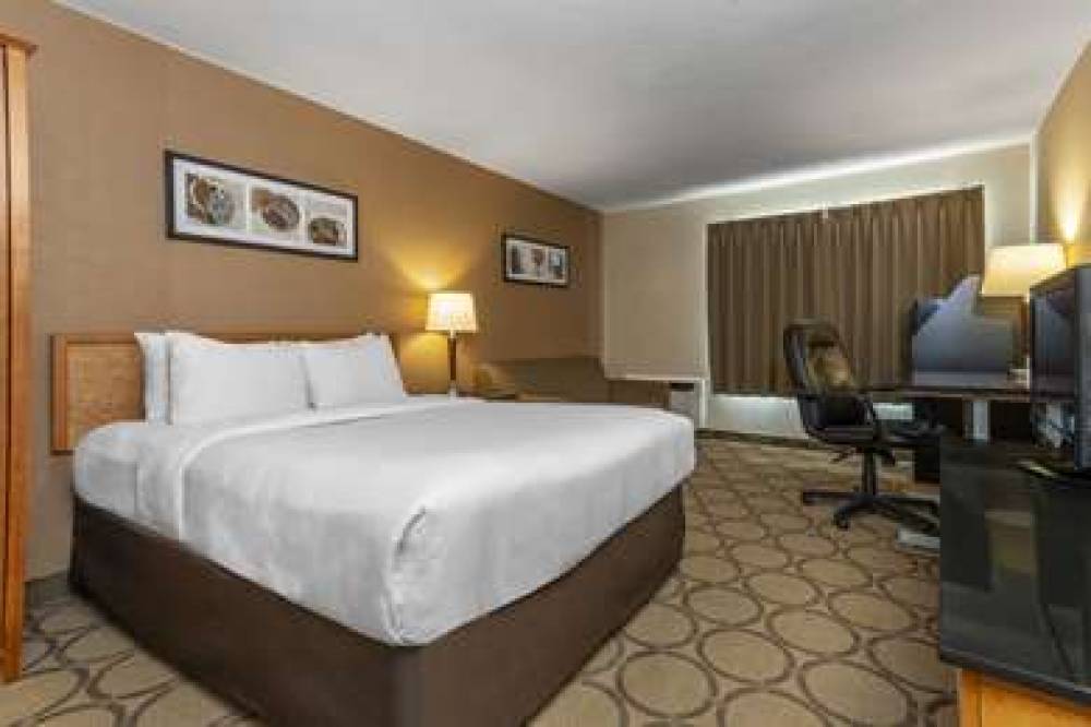 Comfort Inn Brandon 4