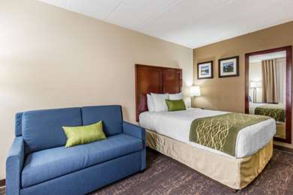 Comfort Inn Capital Beltway/I-95 North 9