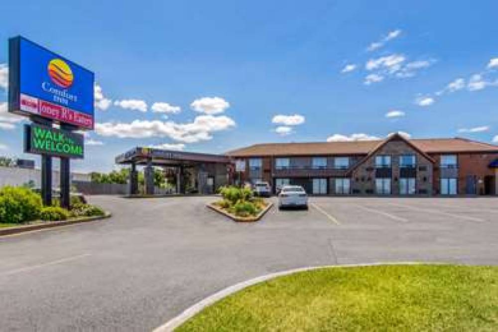 Comfort Inn 3