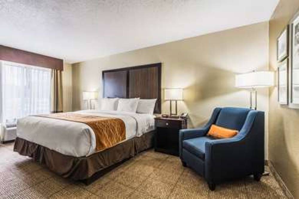 COMFORT INN DALLAS PARK CENTRAL 8