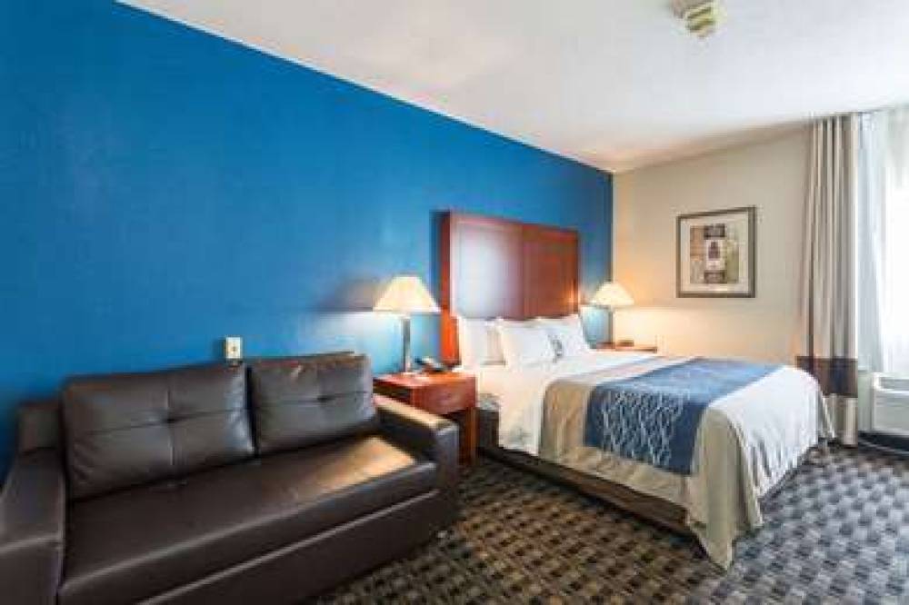 Comfort Inn Decatur Priceville 10