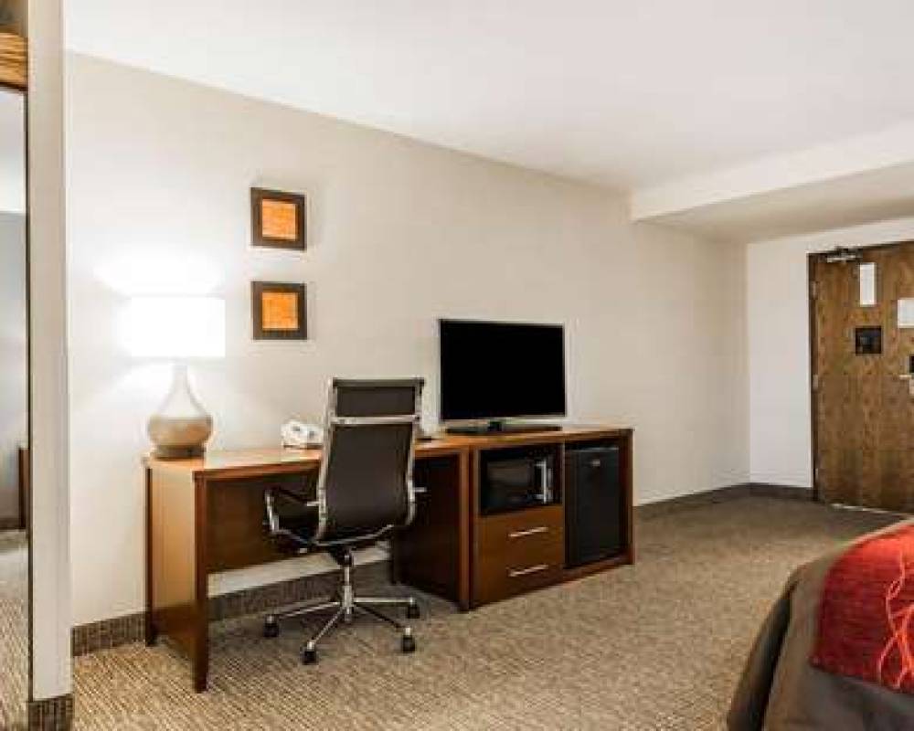 COMFORT INN DENVER EAST 8