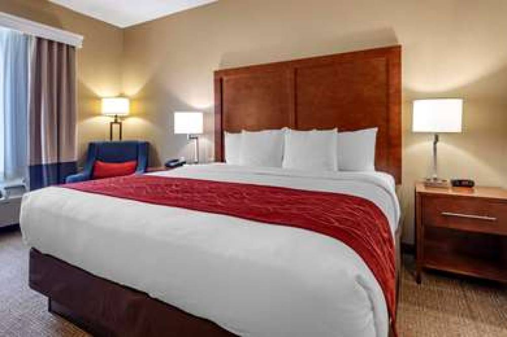 Comfort Inn DFW Airport North 5