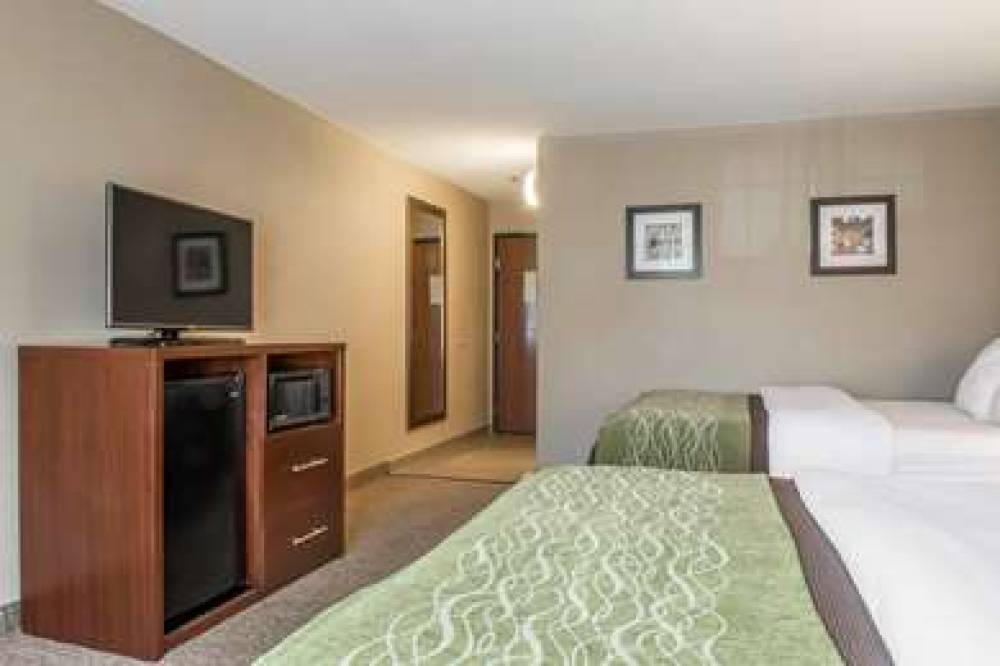 Comfort Inn Edinburg 7