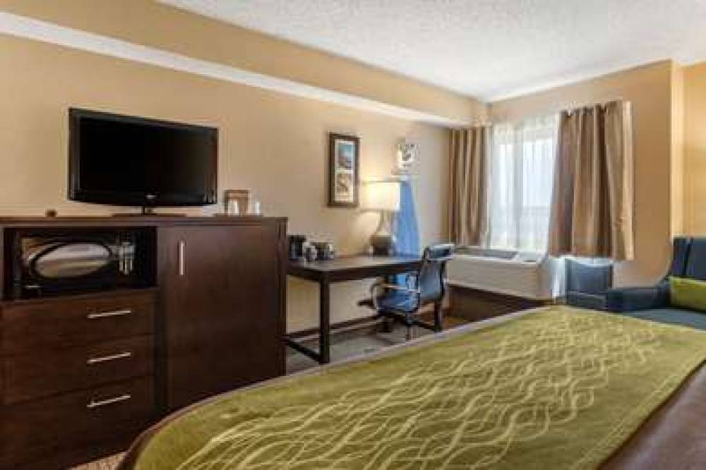 Comfort Inn Hwy. 290/NW 10