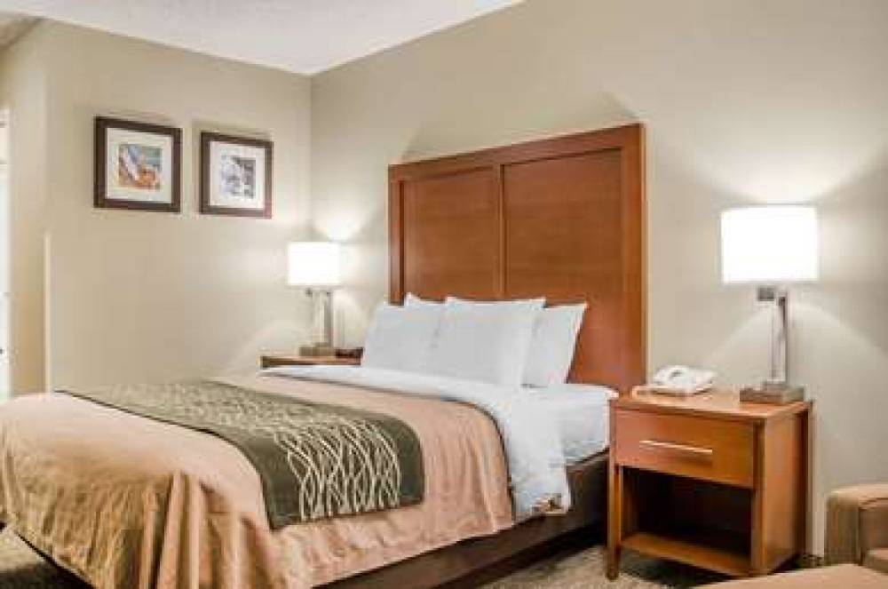 Comfort Inn Idaho Falls 8