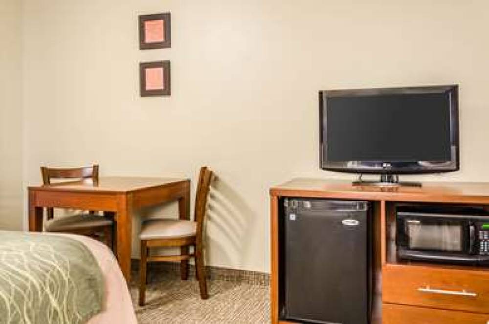 Comfort Inn Idaho Falls 9