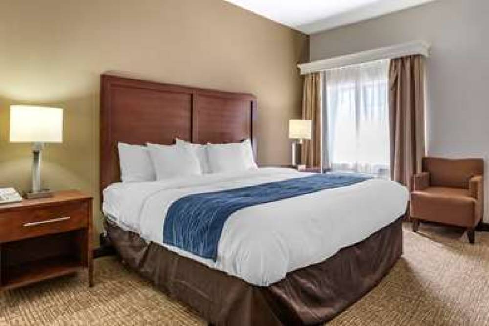 Comfort Inn Kalamazoo 8