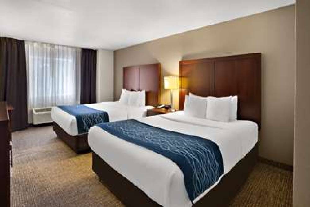 Comfort Inn Lacey - Olympia 7