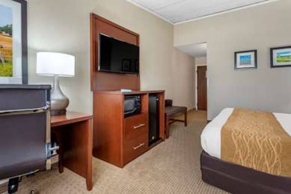 Comfort Inn Lancaster County North 9