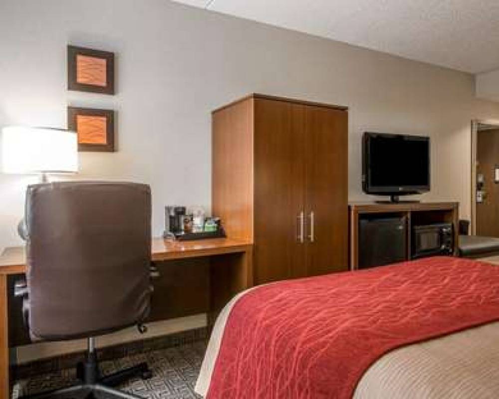 COMFORT INN LATHAM - ALBANY NORTH 7