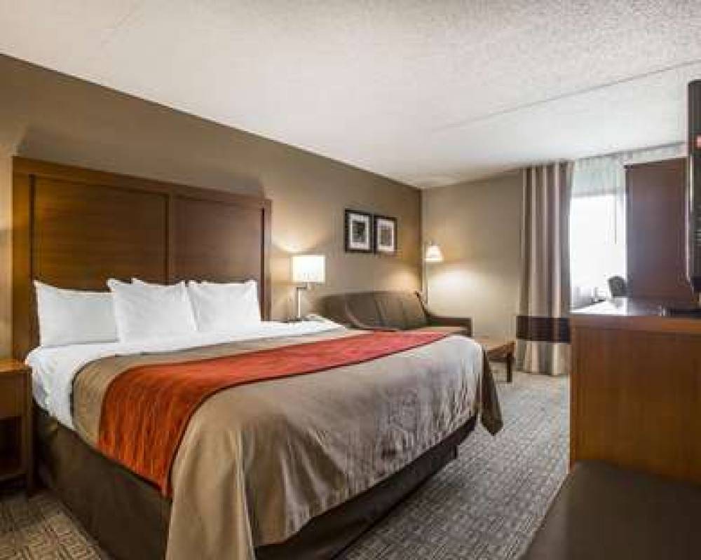 COMFORT INN LATHAM - ALBANY NORTH 8