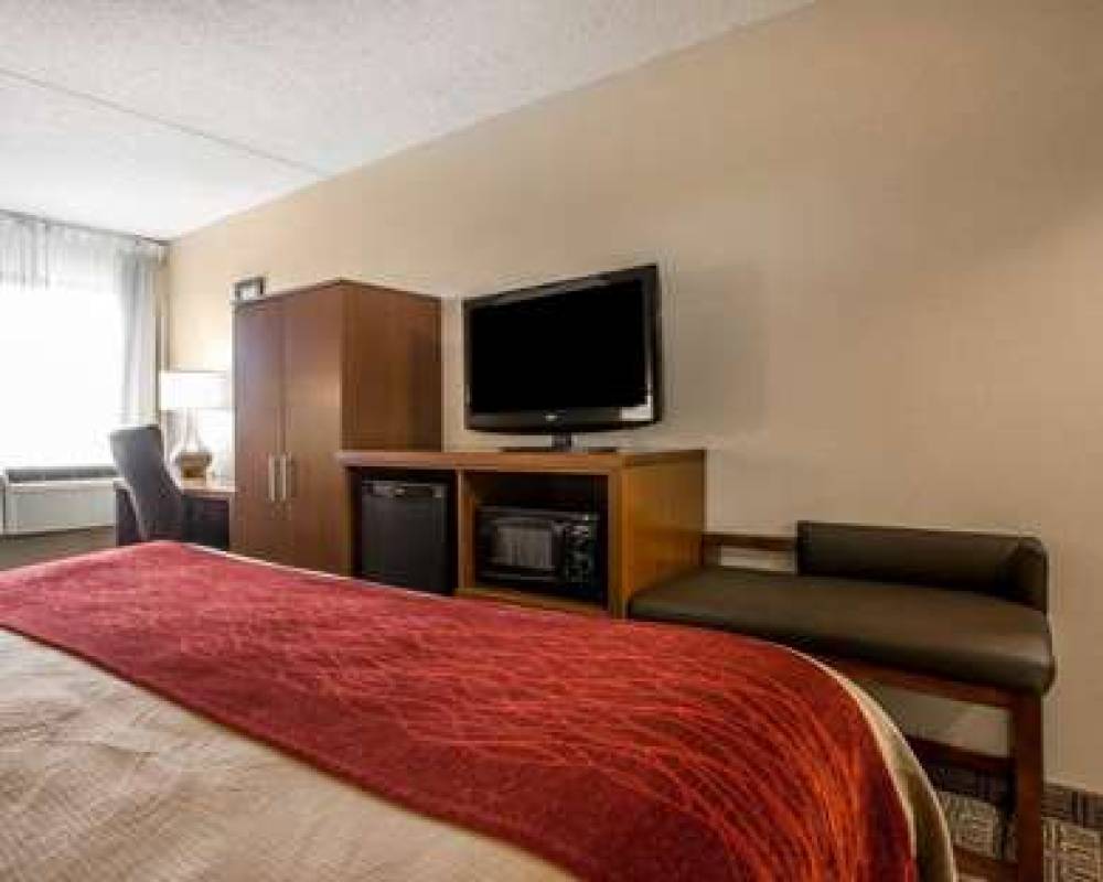 COMFORT INN LATHAM - ALBANY NORTH 5