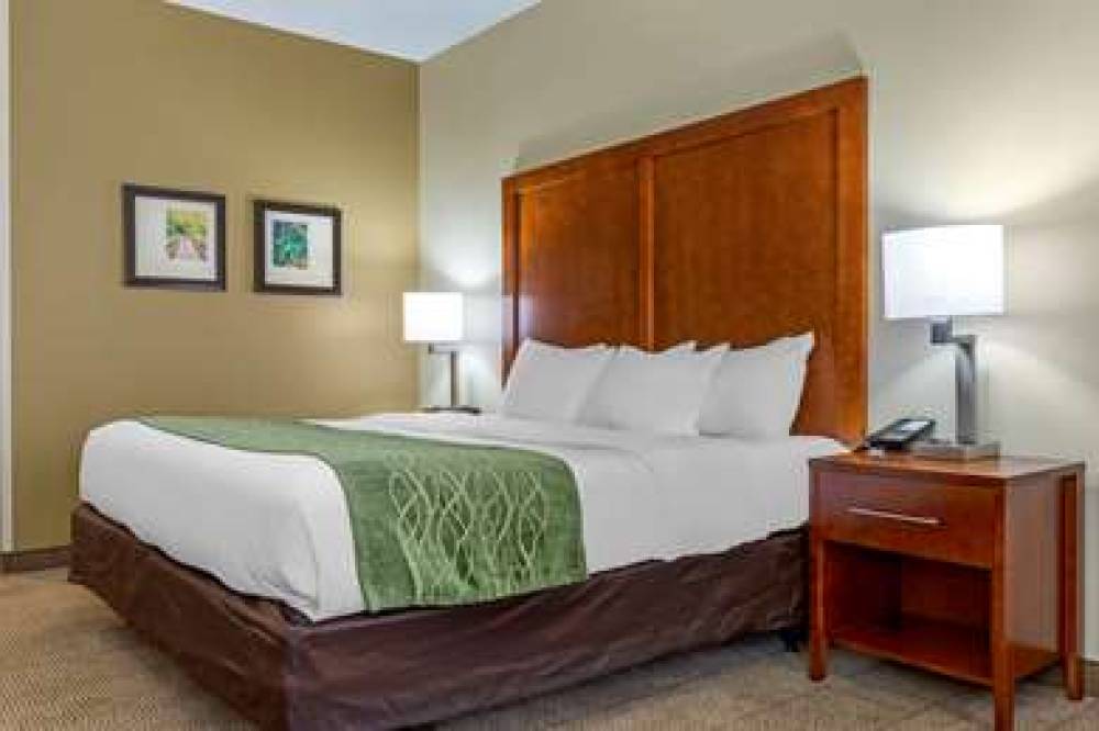 Comfort Inn Lenoir 8