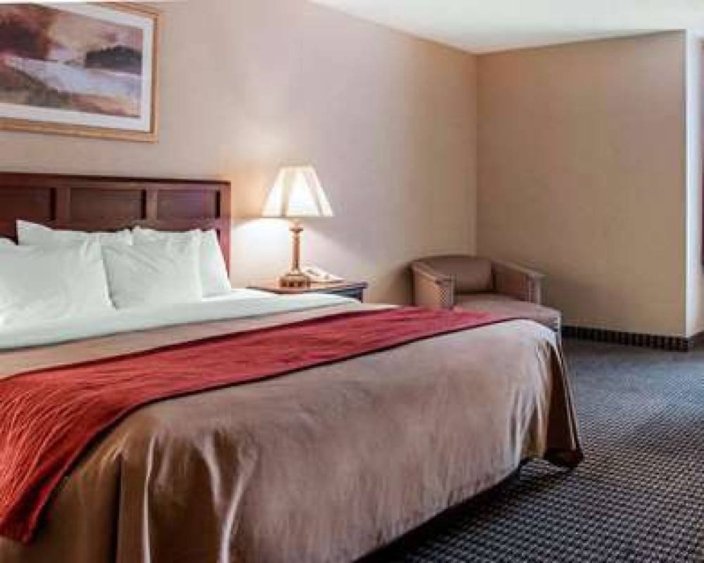 Comfort Inn Livonia 9