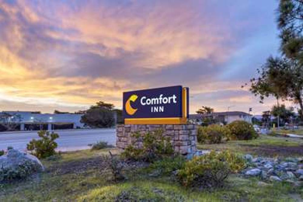 Comfort Inn Marina