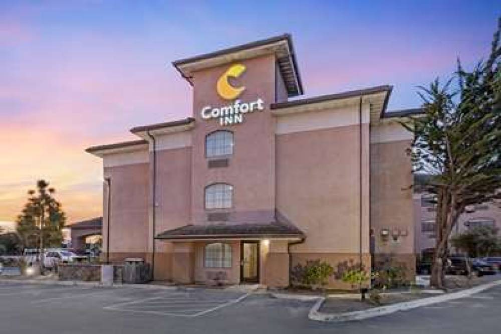 Comfort Inn Marina 5