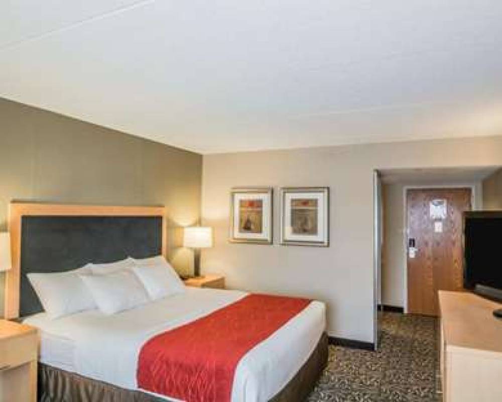 Comfort Inn - NYS Fairgrounds 10